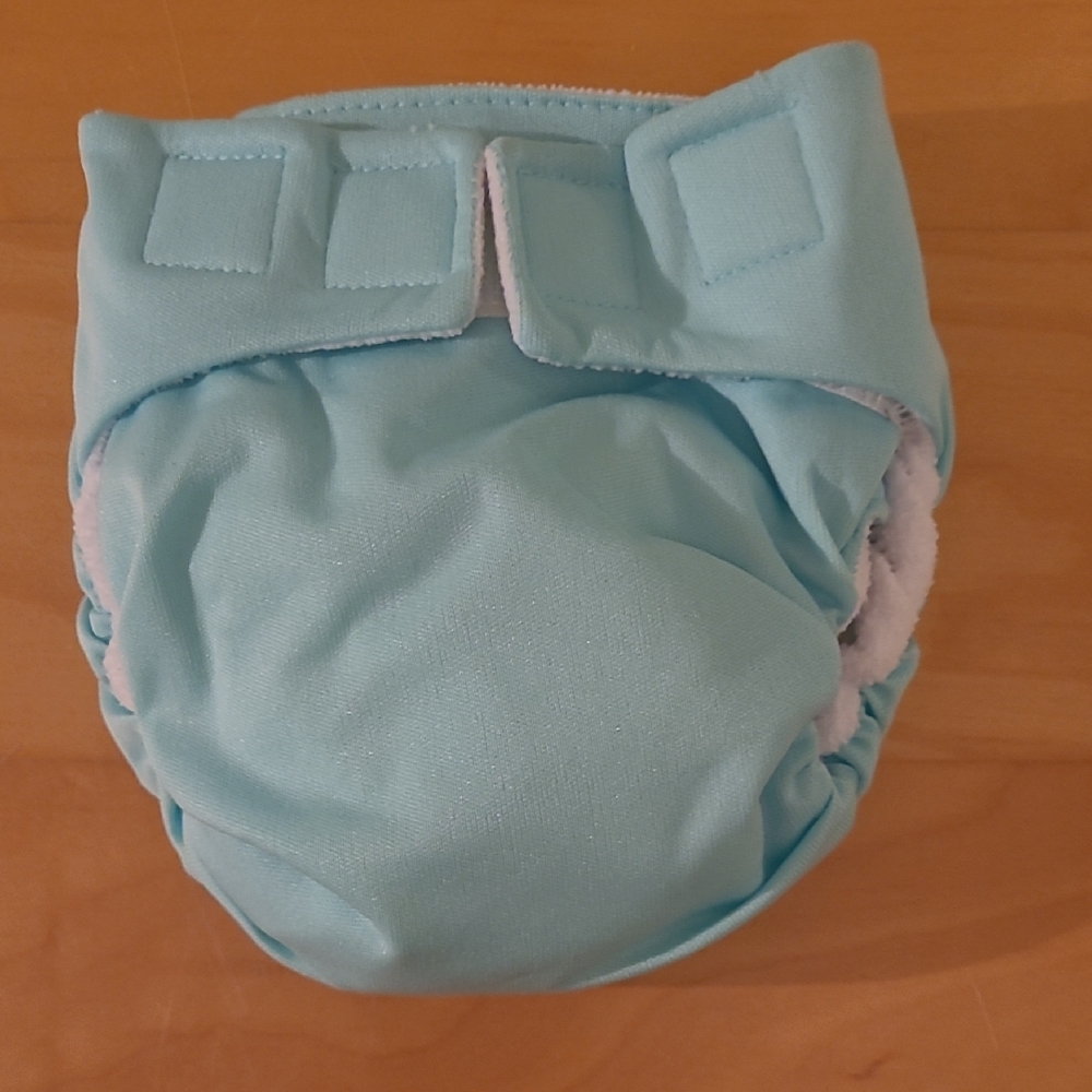 Aqua Reusable AiO Bum Genius Reusable Diaper